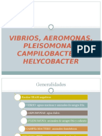 Vibrios, Aeromonas, Pleisomonas, Campilobacter y Helicobacter: Bacilos GRAM negativos de importancia médica