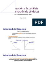 4Determinación de cineticas catalisis heterogenea.pdf