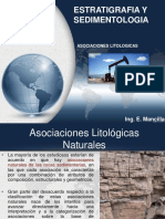 324328952-Asociaciones-Litologicas.pdf