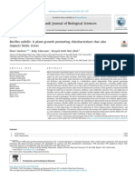 A Plant-Growth Promoting Rhizobacterium