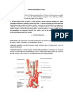 Angiologia Cabeza y Cuello PDF