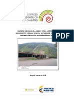 VisitadeEmergencia PDF