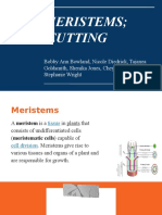 Biology Meristems Cutting