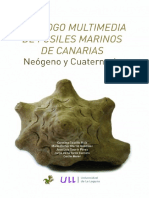 Catalogo Multimedia de Fosiles Marinos d