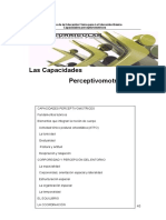 Capacidades Perceptivomotrices PDF