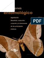 Coleções Entomologicas - Pt.español