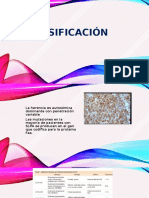 CLASIFICACIÓN