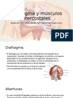 Diafragma y Músculos Intercostales