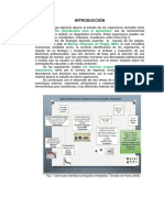 morfologia externa 2014-1.pdf