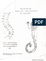 Poliquetos (Annelida Polychaeta) de México PDF