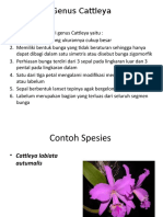 Genus Cattleya