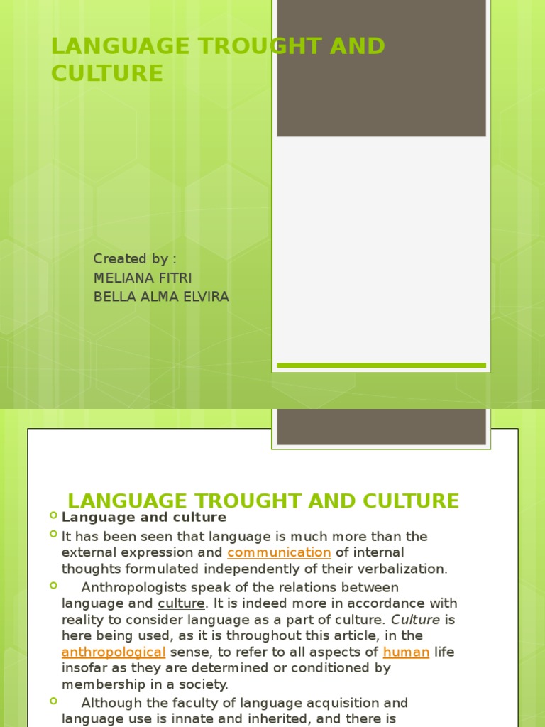 Language and Culture Interconnection | PDF | Thought | Idea