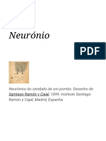 Neurónio - Wikipédia, A Enciclopédia Livre PDF