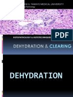 DEHYDRATION AND CLEARING