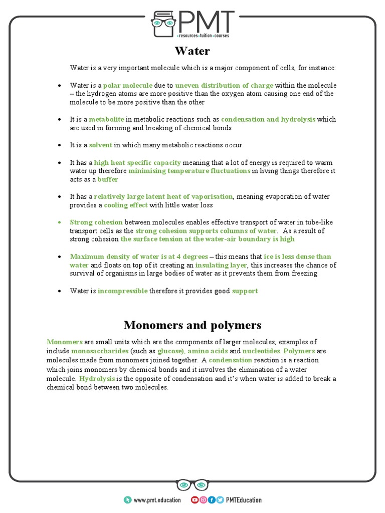 Essential Biological Molecules Explained | PDF | Glucose | Lipid