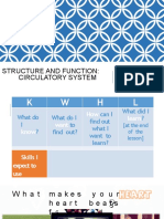 circulatory system lesson.pptx