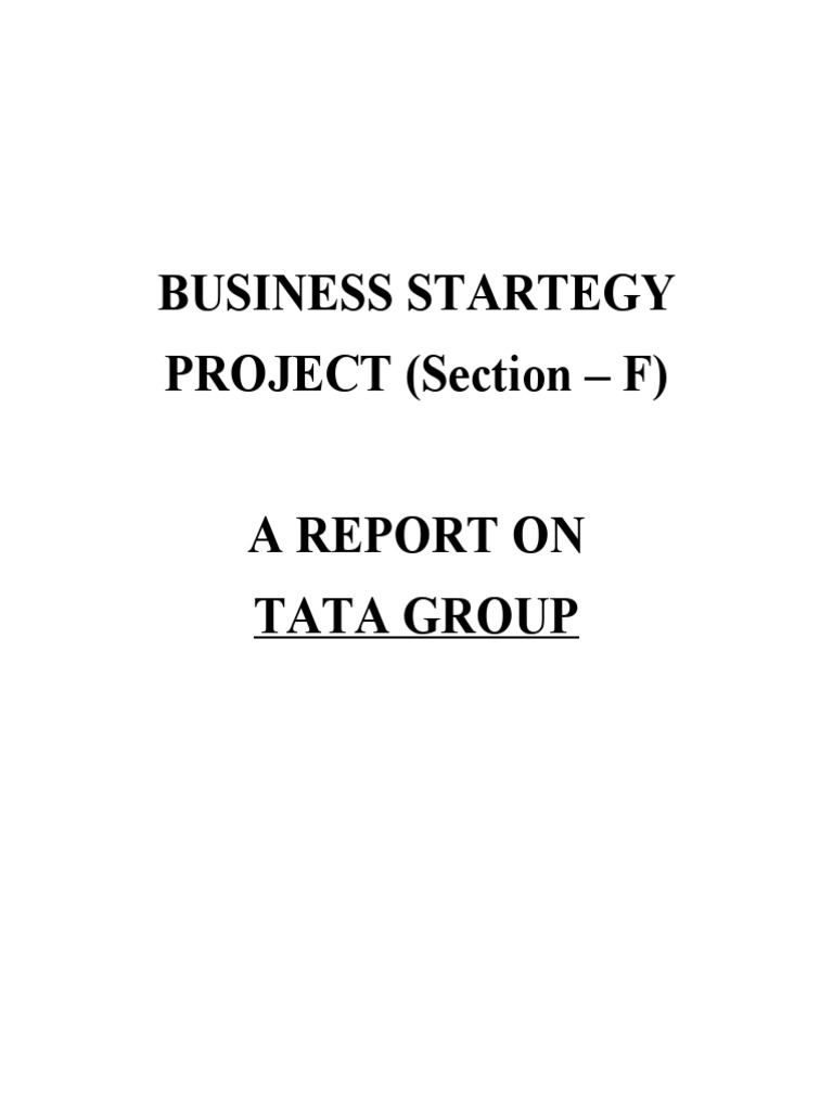 Tata Group Business Strategy Overview | PDF | Loans | Banks