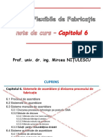 SFF Cap. 6.pdf