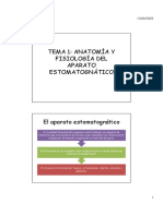 Anatomía y Fisiología Del Aparato Estomatognático