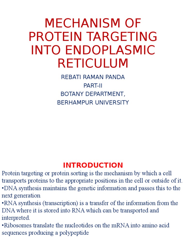 Protein Targeting in Cells | PDF | Protein Targeting | Proteins