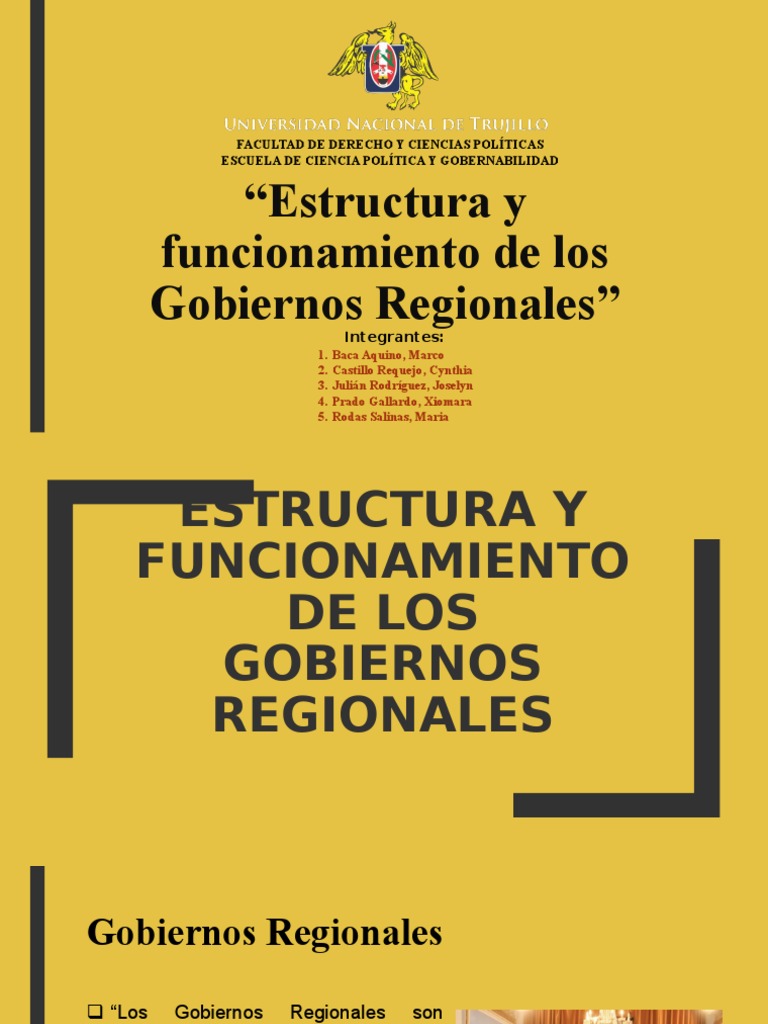 Estructura y Funcionamiento de Los Gobiernos Regionales | PDF