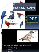 Sistem Pernafasan Aves