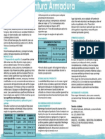Atras Tipo Armadura PDF