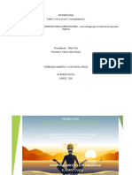 Trabajo de Psicobiologia Paso 1 y 2 Mapas y