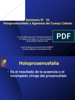 Seminario 18 - Holoprosencefalia y Agenesia Cuerpo Calloso - Archivo