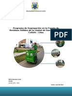 PSFRS Municipalidad Provincial de Cañete vf.docx