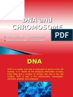 DNA and Chromosome