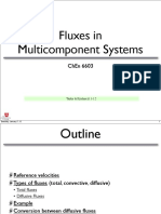 Fluxes.pdf