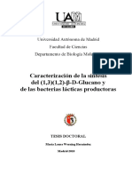 Tesis ML Werning PDF