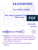 Summer Internship: J.K White Cement Works