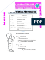 Historia y conceptos básicos del Álgebra