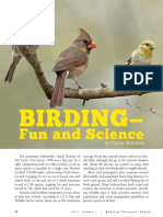 Birding - in - A Different - Way