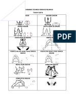 Programa Tecnico Basico Blanco