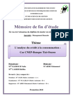 Memoire Complet PDF