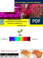 Cultivo de Planta Com Iluminação Suplementar