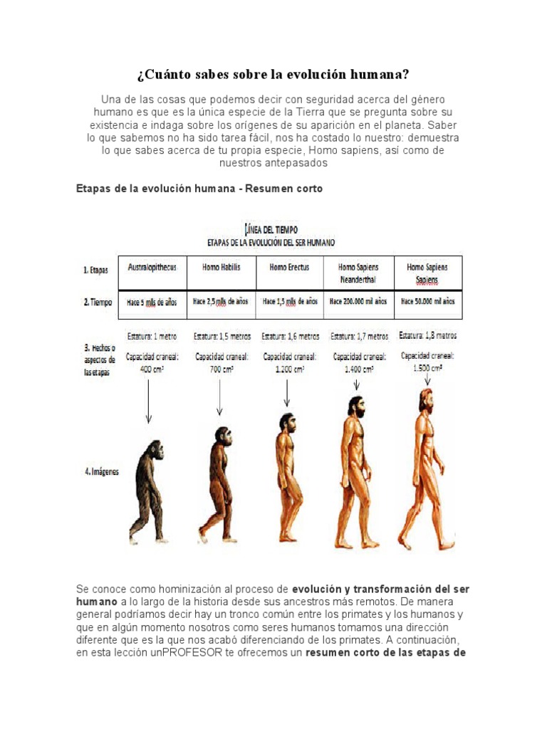 Etapas de la Evolución Humana | PDF | Evolución humana | Homo