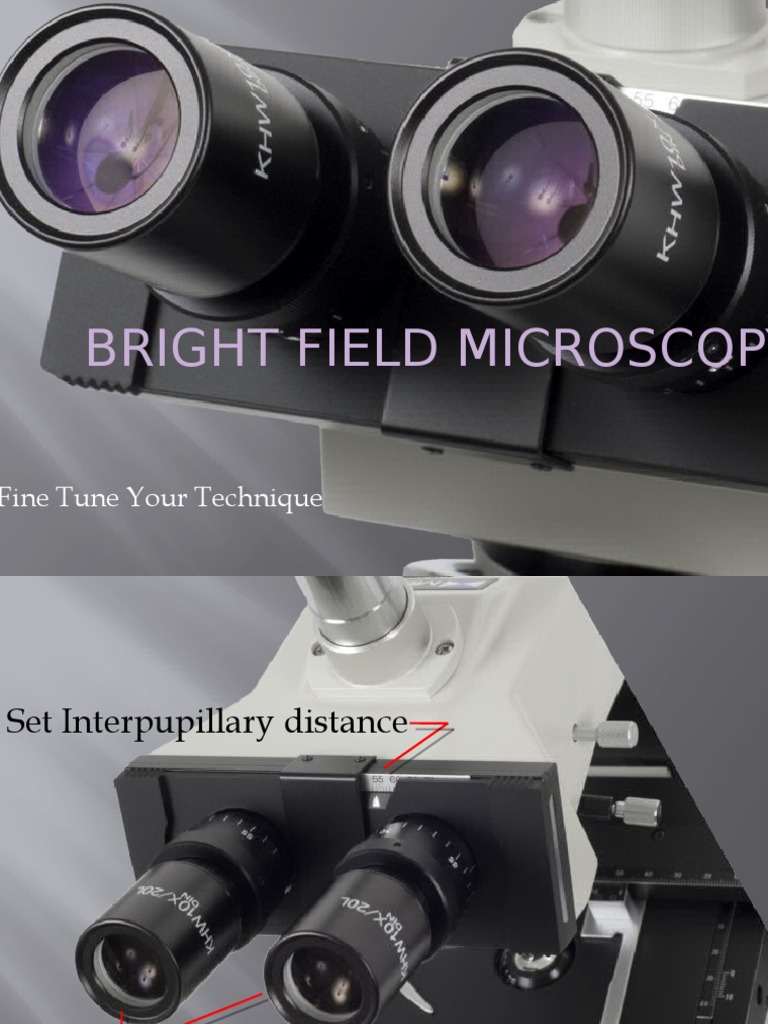 Mastering Bright Field Microscopy Techniques | PDF | Eye | Optics