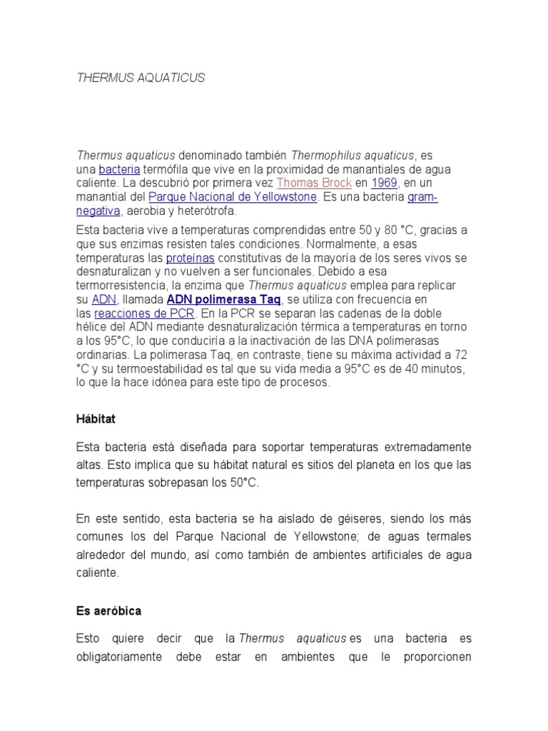 Thermus Aquaticus PDF Bioquímica Química