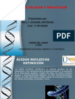 TAREA 4 -  4 BIOMOLÉCULAS ORGÁNICAS-ACIDO NUCLEICO