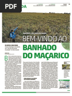 Bem-Vindo Ao Banhado Do Maçarico