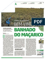 Bem-Vindo Ao Banhado Do Maçarico