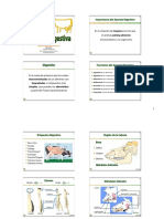 21 - Anatomia digestiva.pdf
