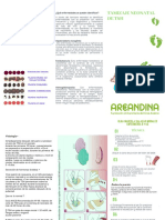 Folleto TSH Neonatal PDF