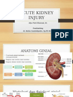Acute Kidney Injury: Alya Putri Khairani, Dr. Pembimbing Dr. Rubin Gondodiputro, SP - PD-KGH