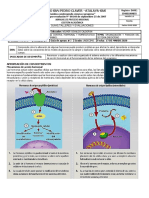 Guia - 3 - Mecanismos de Accion Hormonal - 11° - P1