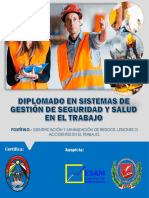 Brochure Diplomado en Seguridad y Salud en El Trabajo